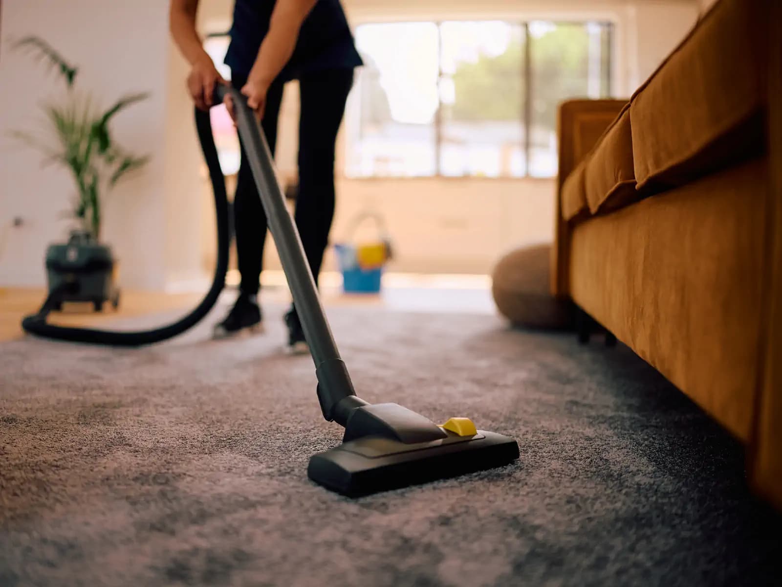 Affordable Commercial Carpet Cleaning for Businesses of All Sizes