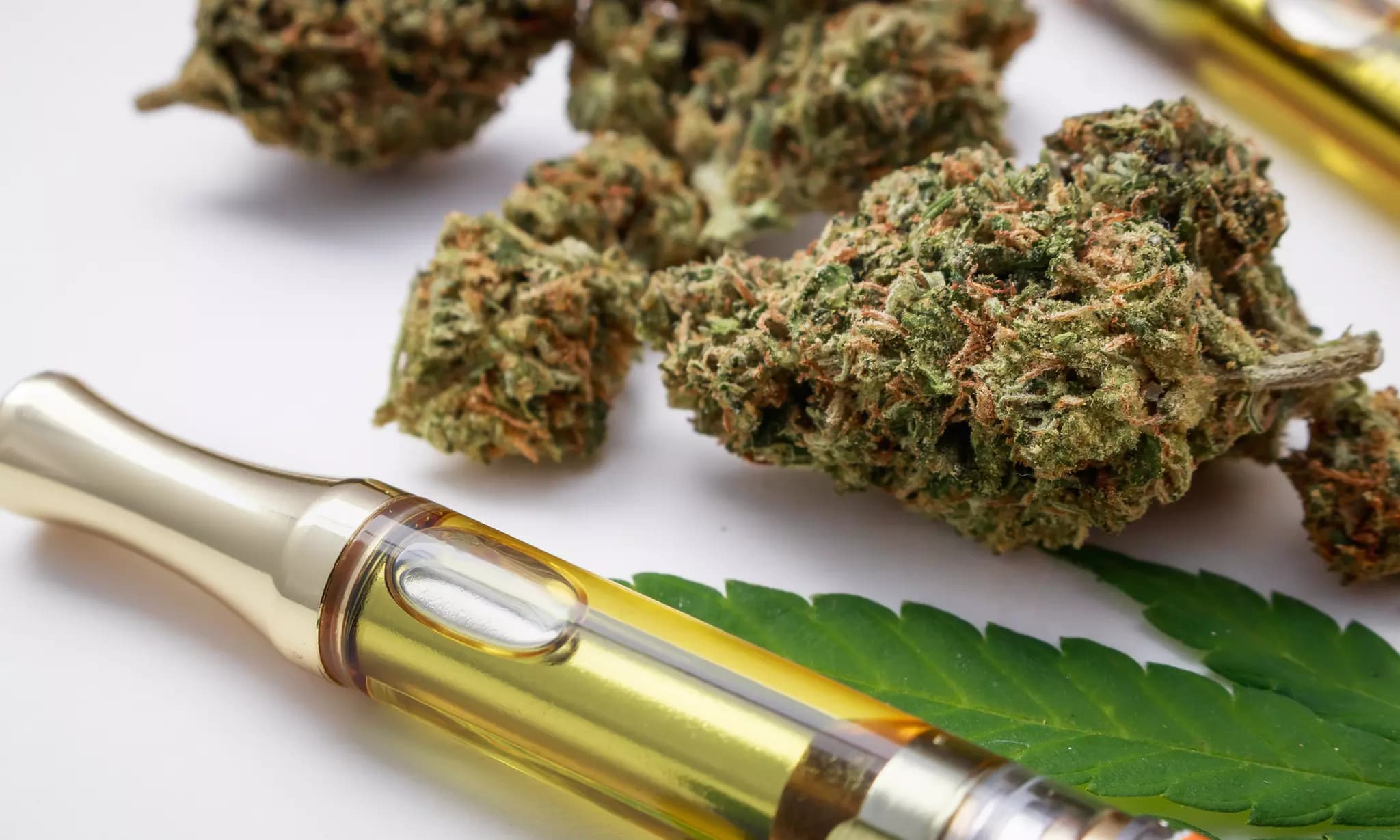 Reliable 24/7 Weed Delivery Halifax: Your Guide to Cannabis Convenience