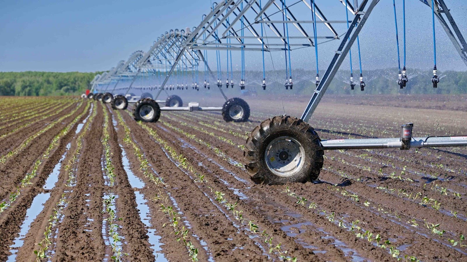 Professional Irrigation Services in Haltom City, TX for Residential Properties
