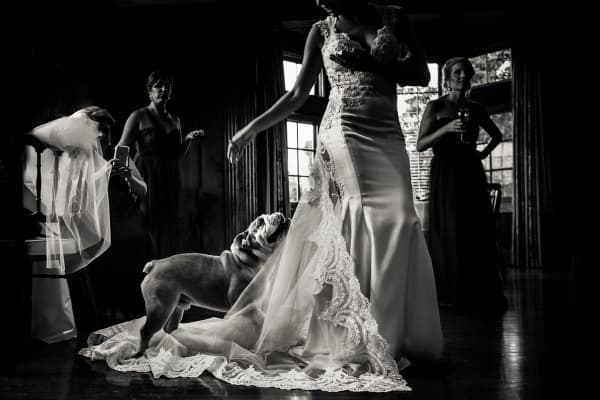 Rizing Falcon Photography: Carmel Wedding Photography Capturing Timeless Coastal Love