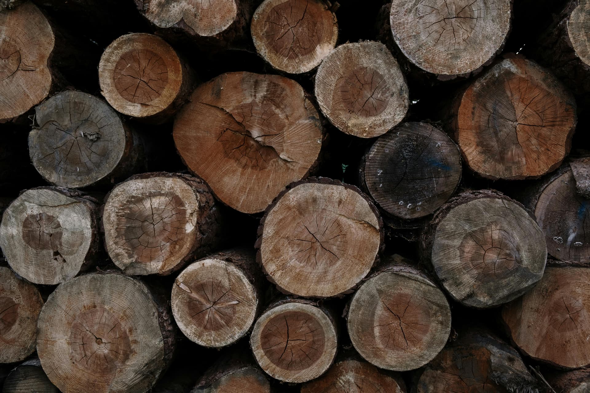 Eco-Friendly Wood Briquette for Home and Industry