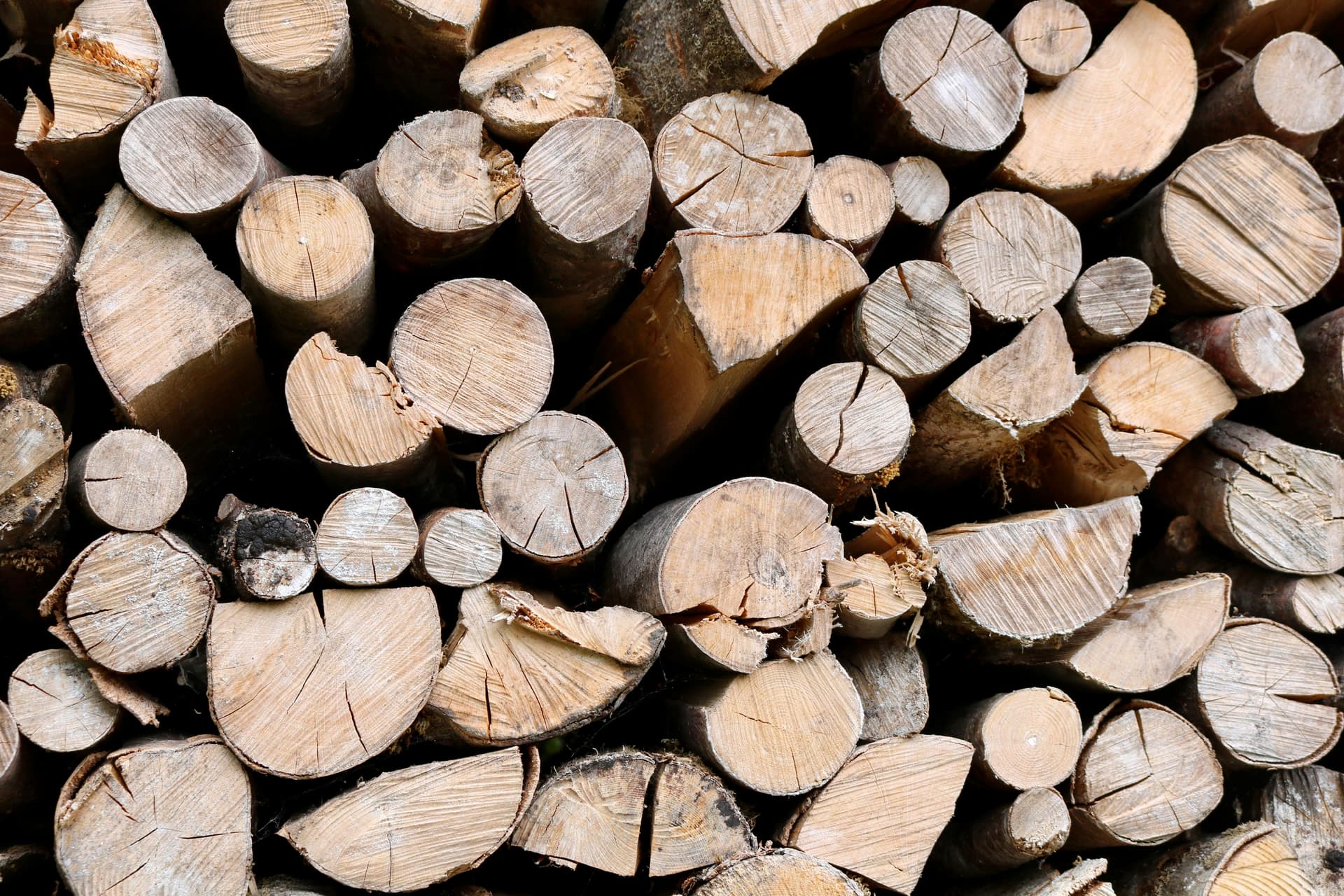 Kiln Dried Firewood Netherlands: Premium Fuel for Efficient Heating