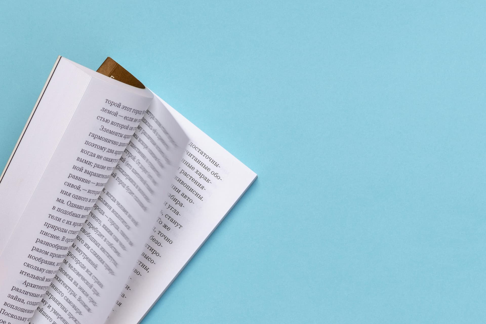 Why Readers Around the World “Bet on Black” for Action and Suspense