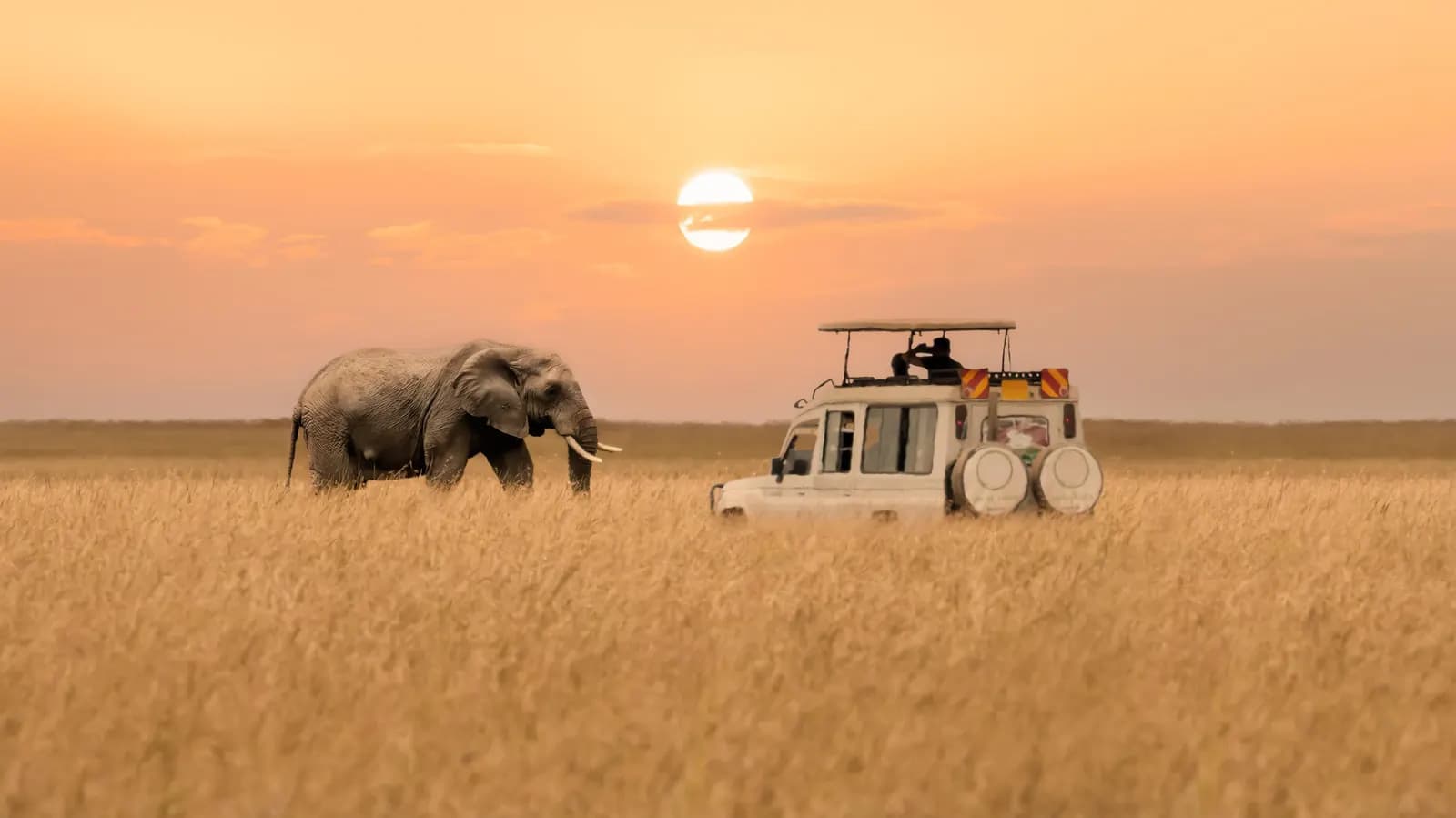 Luxury Kenya Tanzania Safari Adventures with JExtraordinary Safaris