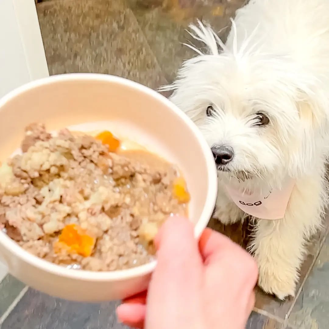 Is The Farmer's Dog Price Worth It?