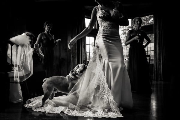 Rizing Falcon Photography: Carmel Wedding Photography Capturing Timeless Coastal Love