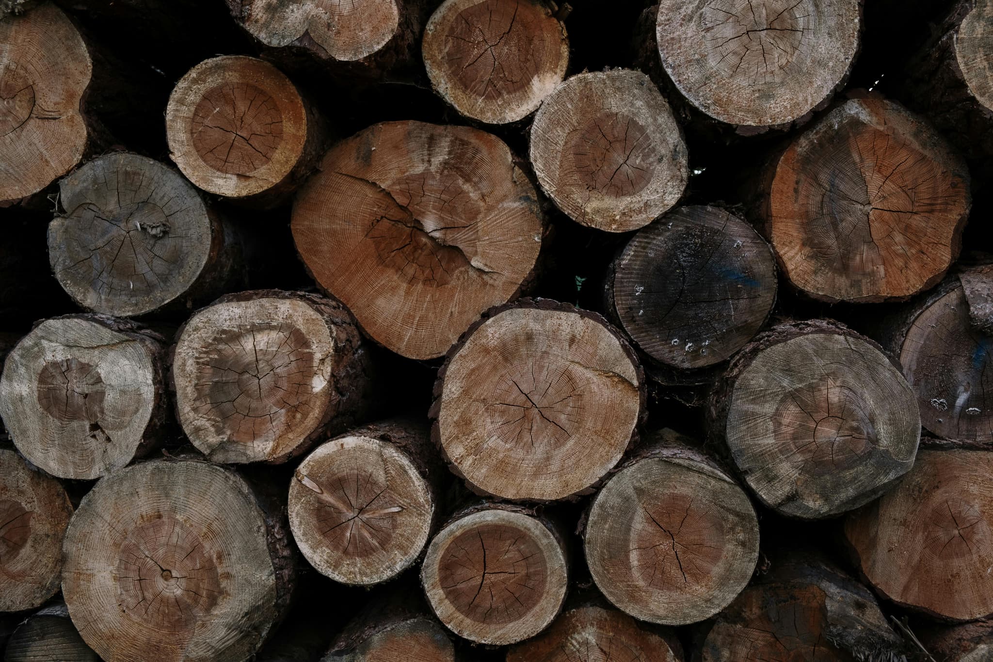 Eco-Friendly Wood Briquette for Home and Industry