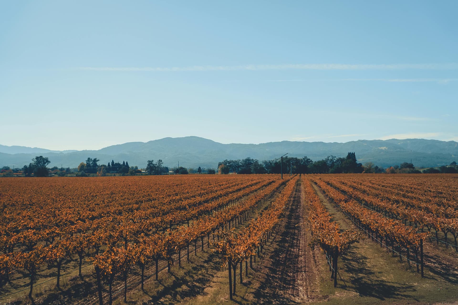 Winery Sacramento Highlights: Where Tradition Meets Quality