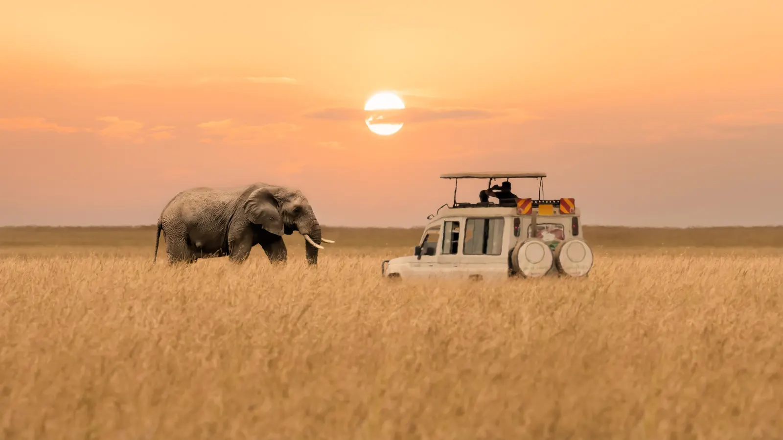Luxury Kenya Tanzania Safari Adventures with JExtraordinary Safaris