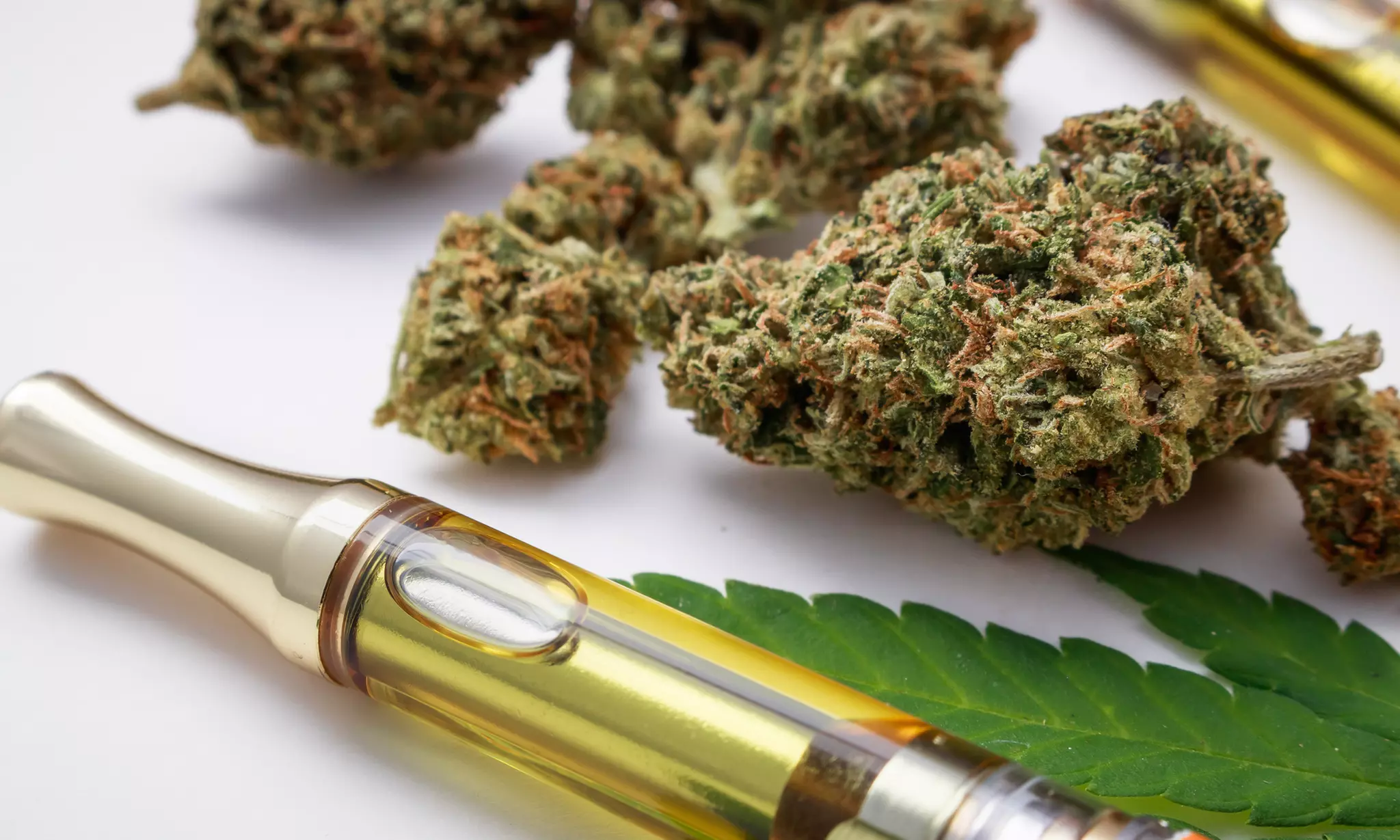 Reliable 24/7 Weed Delivery Halifax: Your Guide to Cannabis Convenience