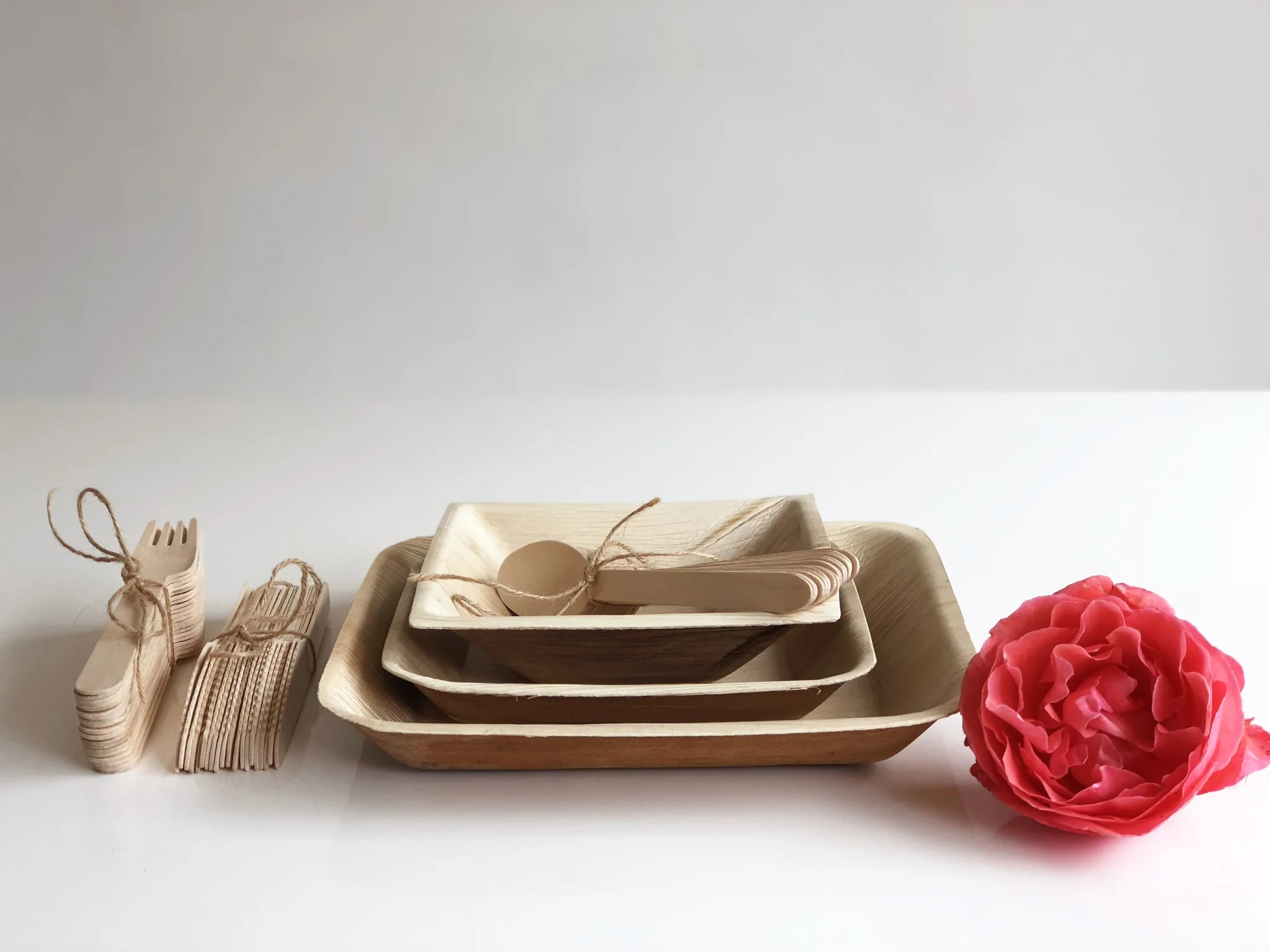 Chic and Sustainable: Fancy Eco-Friendly Plates for Weddings