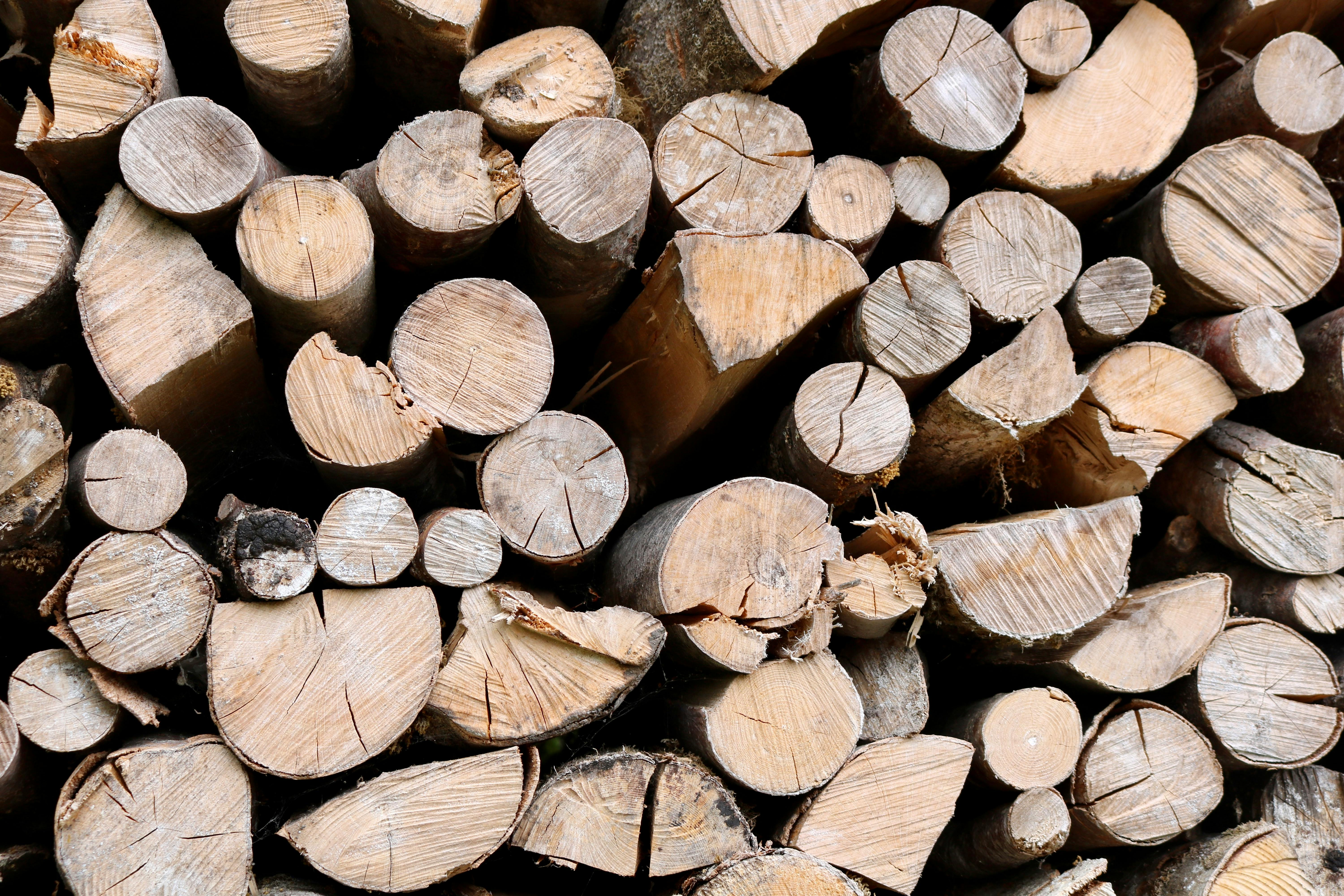 Kiln Dried Firewood Netherlands: Premium Fuel for Efficient Heating