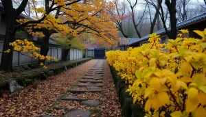 葉酸サプリを手に取り、健康を促進する優れた選択肢を探すシーン。